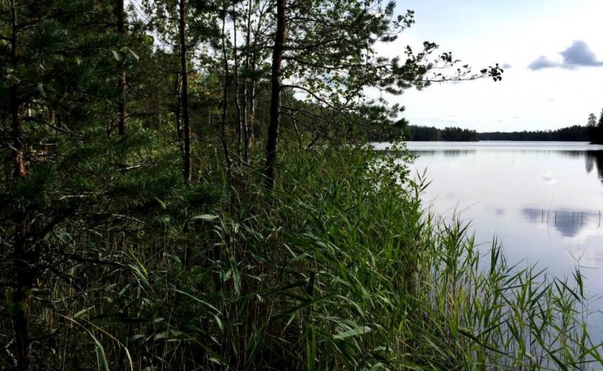ranta maisema