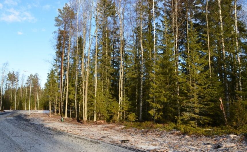 Yksityistieavustukset 2021 haettavana 19.4.2021 saakka
