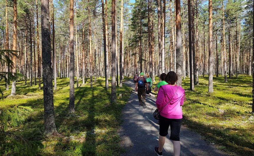 asi Talvitie, Salomaa, Kauhanevan - Pohjankankaan kansallispuisto