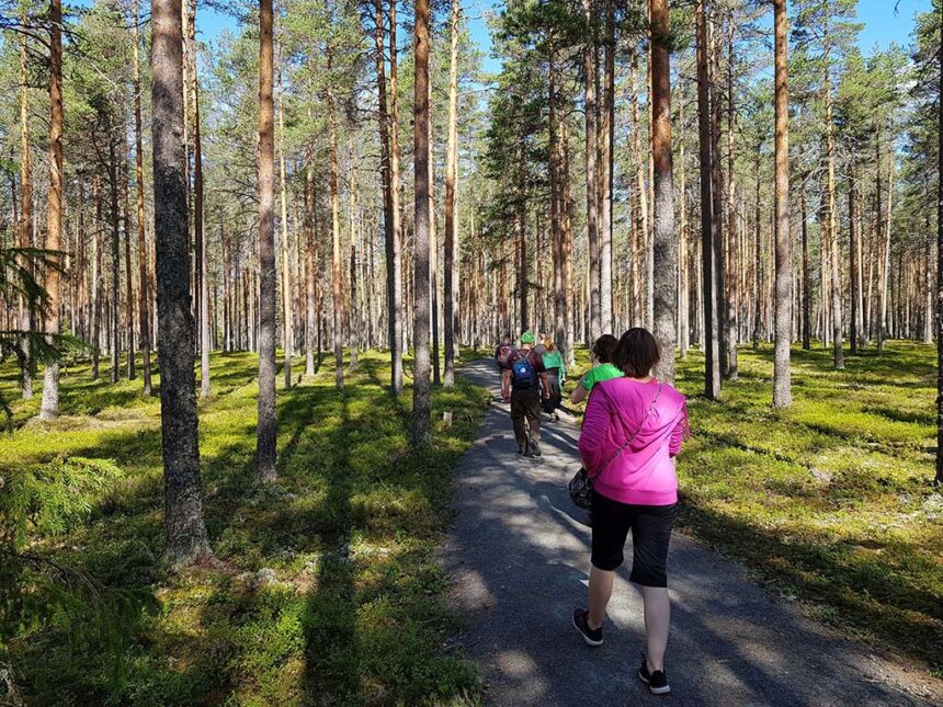 asi Talvitie, Salomaa, Kauhanevan - Pohjankankaan kansallispuisto