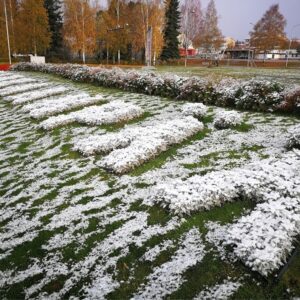 ensilumi 2020 kankaanpää syysloma