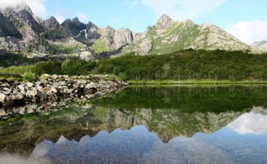 norjan vuono kuva Harri Ahonen