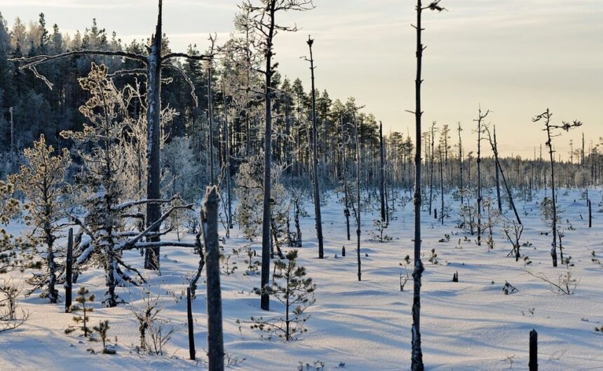Kelokot_Haapakeitaalla_kuva_Geopark_Terttu_Hermansson