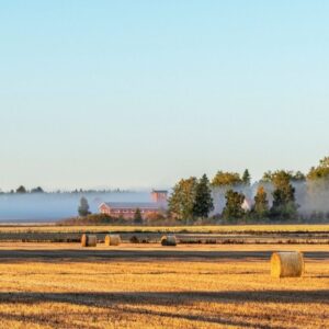 Tarjouspyyntö kaupungin vuokrapelloista