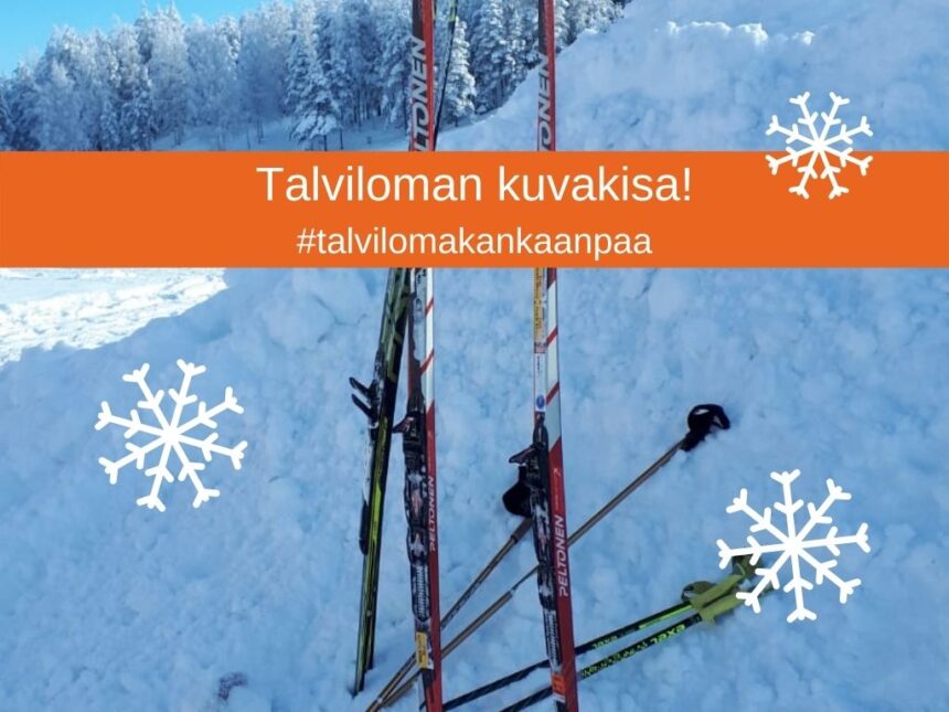 talviloman kuvakisa