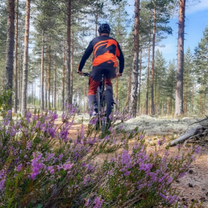 Kesäinen Geopark tarjoaa retkeilijöille ja matkailijoille parastaan