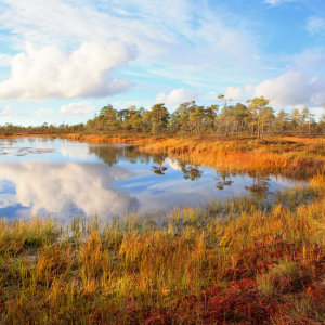 Koe pohjoisen tunnelmaa Geoparkin syysluonnossa