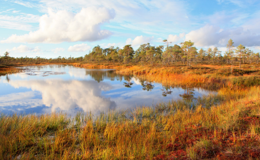 Koe pohjoisen tunnelmaa Geoparkin syysluonnossa