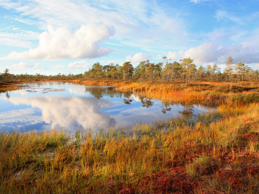 Koe pohjoisen tunnelmaa Geoparkin syysluonnossa