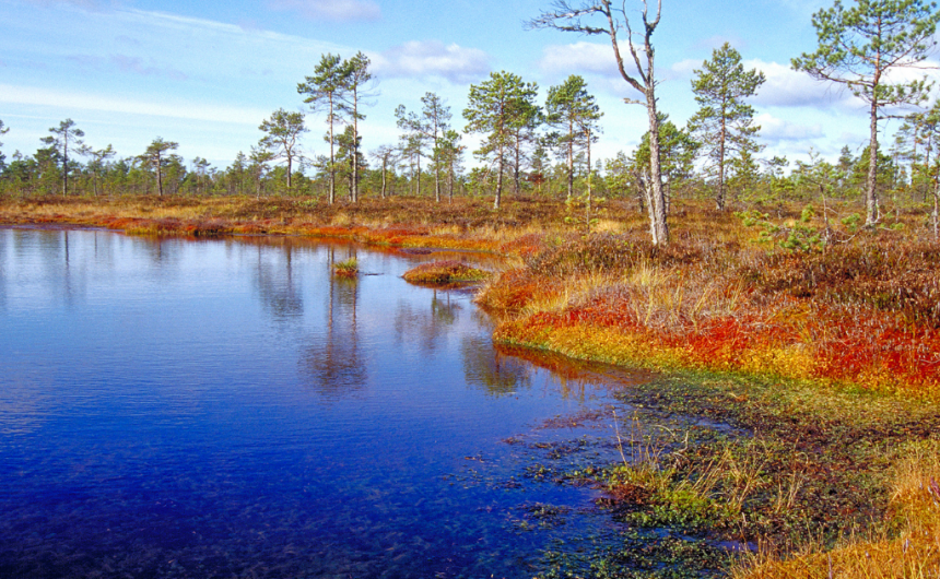 Vinkkejä syyslomalle Kankaanpäässä