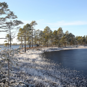 Geoparkissa tavoitat rauhallisen joulutunnelman