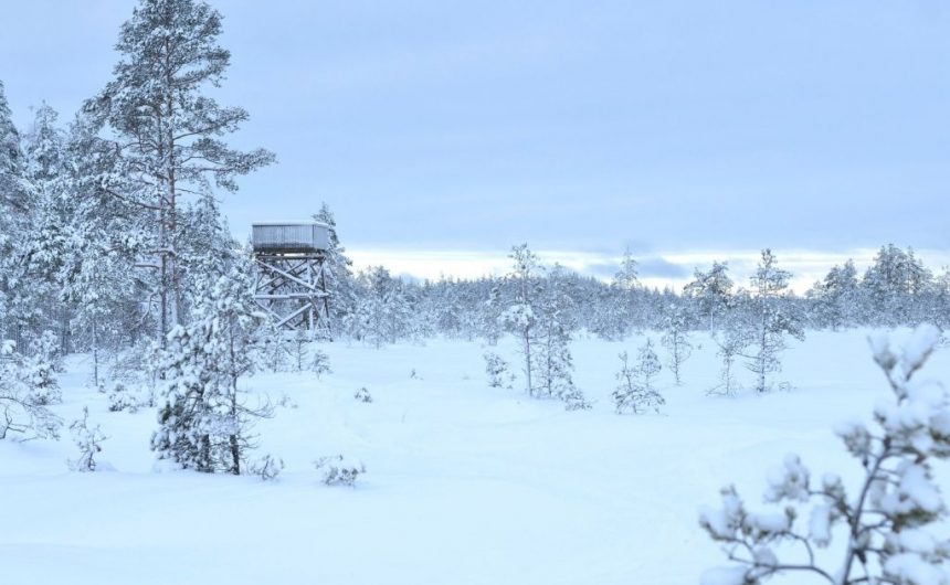 Talven hiljaiseloa Geoparkissa – suksilla suolle