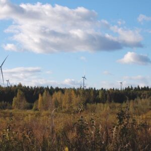 Tieto kuulutuksesta, Paholammin tuulivoimapuiston ympäristövaikutusten arviointiselostus nähtävillä