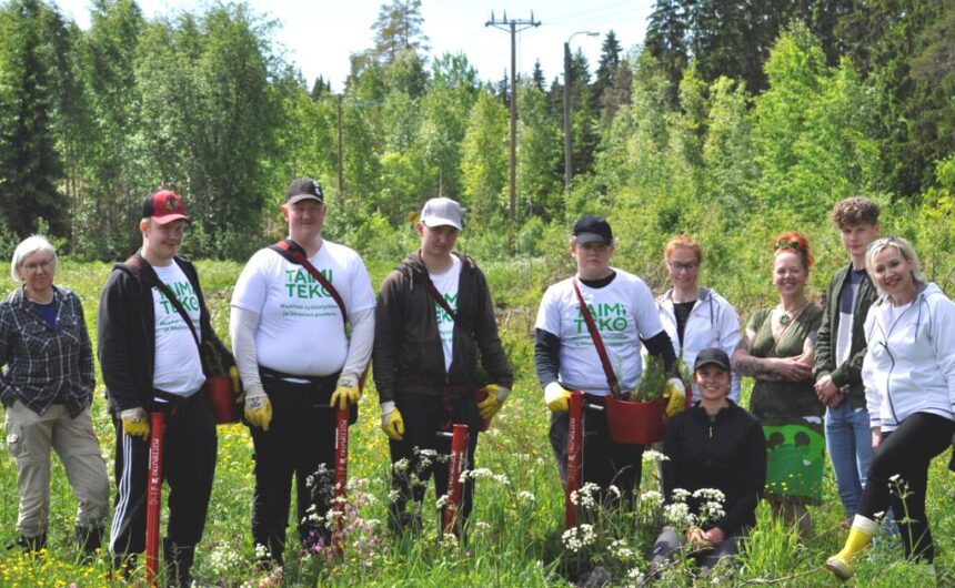 Nuoret istuttivat kaupungille 1,5 hehtaaria metsää Taimiteko-toiminnassa