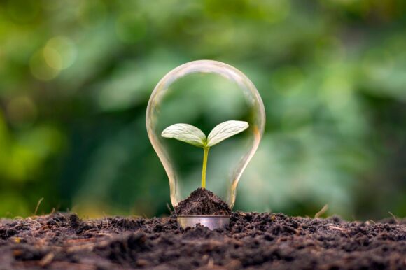 innovaatiopalkinto_kuvituskuva_taimi_lampussa Kenelle kuuluisi vuoden 2025 Innovaatiopalkinto?