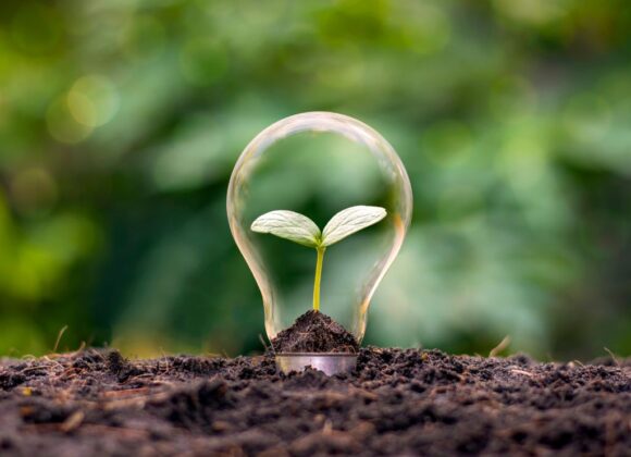 Kenelle kuuluisi vuoden 2025 Innovaatiopalkinto?