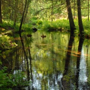 Lauhanvuori – Hämeenkangas UNESCO Global Geoparkin ensimmäinen väliarviointi kesäkuun lopulla mittaa Geoparkin onnistumista