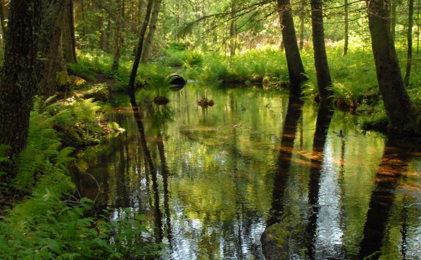 Lauhanvuori – Hämeenkangas UNESCO Global Geoparkin ensimmäinen väliarviointi kesäkuun lopulla mittaa Geoparkin onnistumista