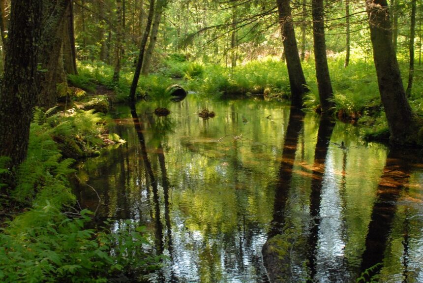 Lauhanvuori – Hämeenkangas UNESCO Global Geoparkin ensimmäinen väliarviointi kesäkuun lopulla mittaa Geoparkin onnistumista