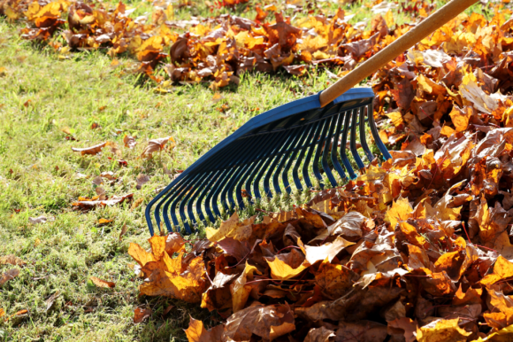 haravointi_kuvituskuva Haravointi- ja risujätekeräys kotitalouksille 20. huhtikuuta – 10. toukokuuta 2026