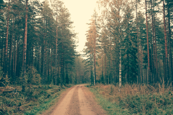 Yksityistieavustusten lisähaku 20.9.–11.10.2023