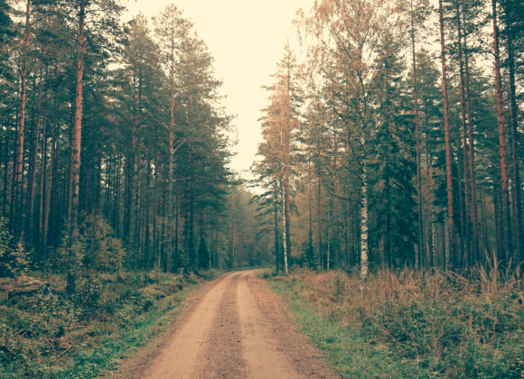 Yksityistieavustusten lisähaku 20.9.–11.10.2023