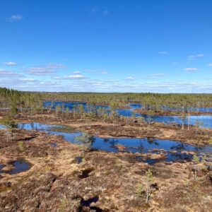 Huidankeidas_kuvaaja_Tomas_Regan Huidankeitaan suomaisema Honkajoella