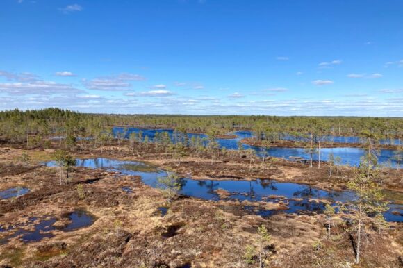 Huidankeidas_kuvaaja_Tomas_Regan Huidankeitaan suomaisema Honkajoella