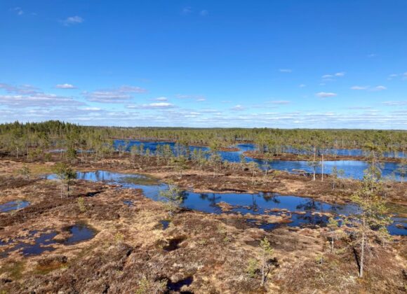 Huidankeitaan suomaisema Honkajoella