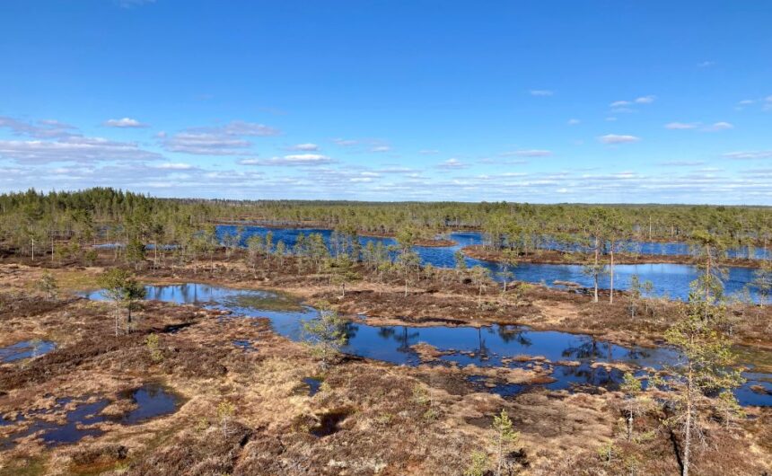 Huidankeitaan suomaisema Honkajoella