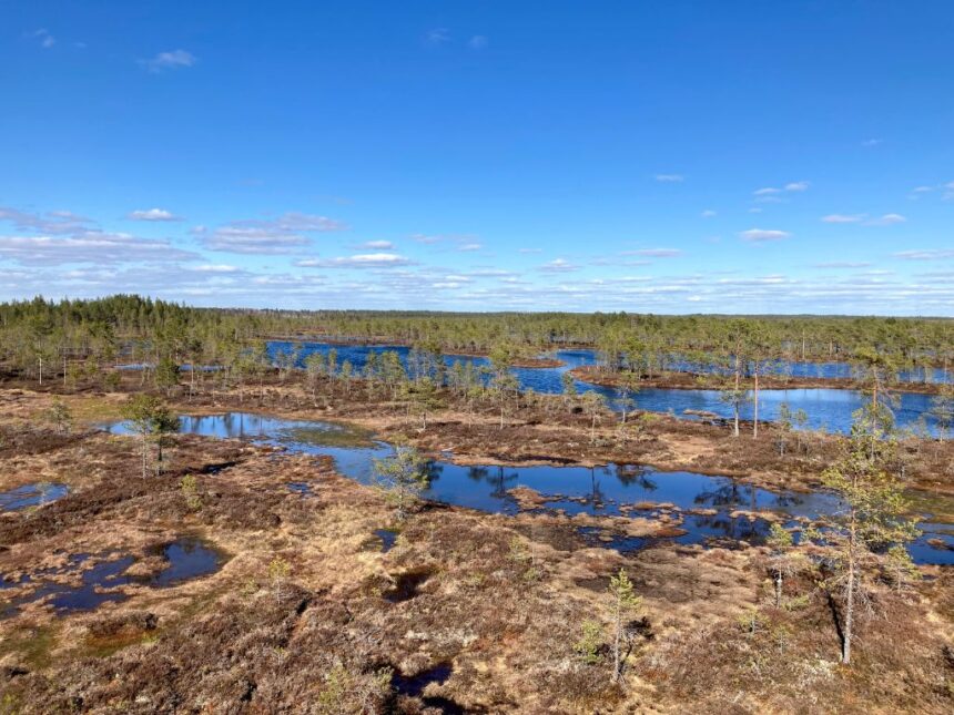 Huidankeidas_kuvaaja_Tomas_Regan Huidankeitaan suomaisema Honkajoella