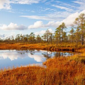 Geopark Geopark-alueen suomaisema