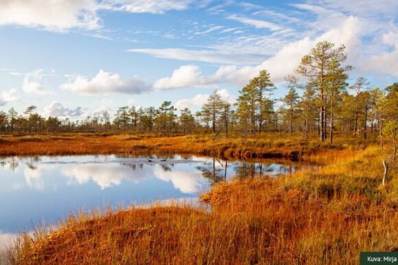 Geopark-alueen suomaisema