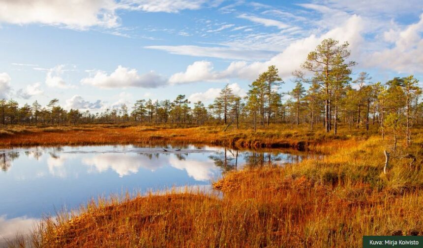 Geopark Geopark-alueen suomaisema