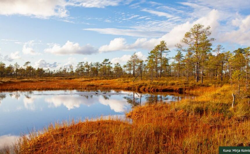 Geopark Geopark-alueen suomaisema
