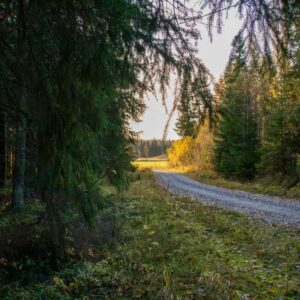 Yksityistie (2) hiekkatie, ympärillä metsää, horisontissa peltomaisema.