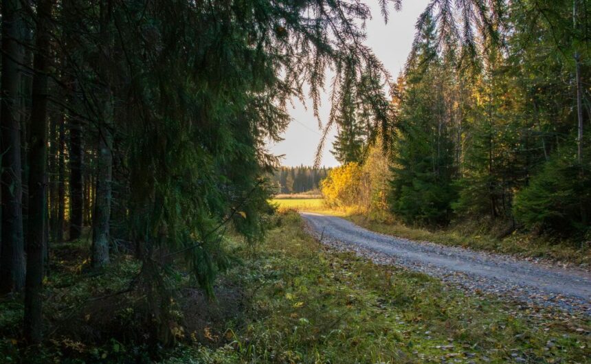 Yksityistie (2) hiekkatie, ympärillä metsää, horisontissa peltomaisema.