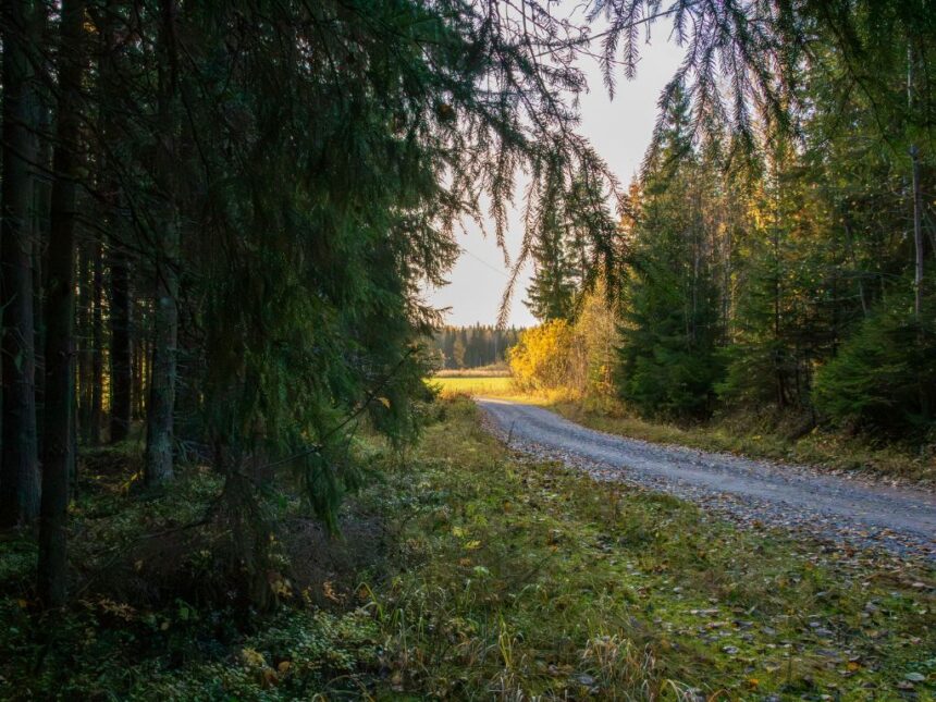 Yksityistie (2) hiekkatie, ympärillä metsää, horisontissa peltomaisema.