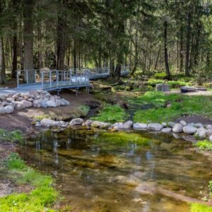 Kuninkaanlähde_kuva_Kankaanpään_kaupunki (2) Hämeenkankaalla sijaitseva kunnostettu Kuninkaanlähde